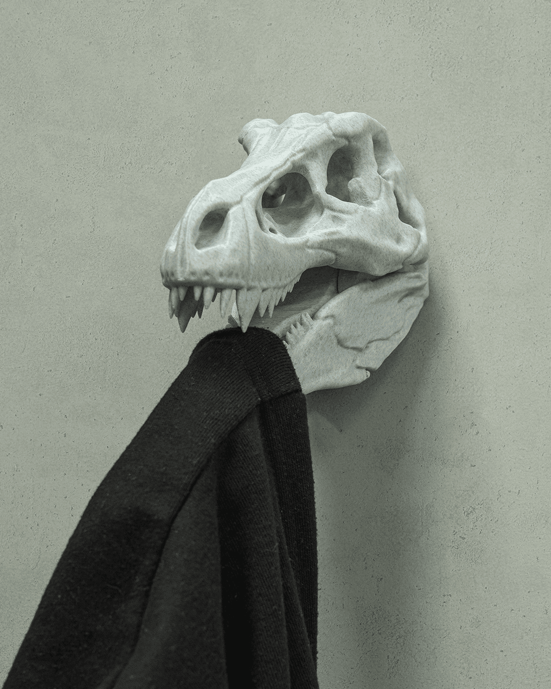Hold my CoaT-Rex - impression filament STLFlix