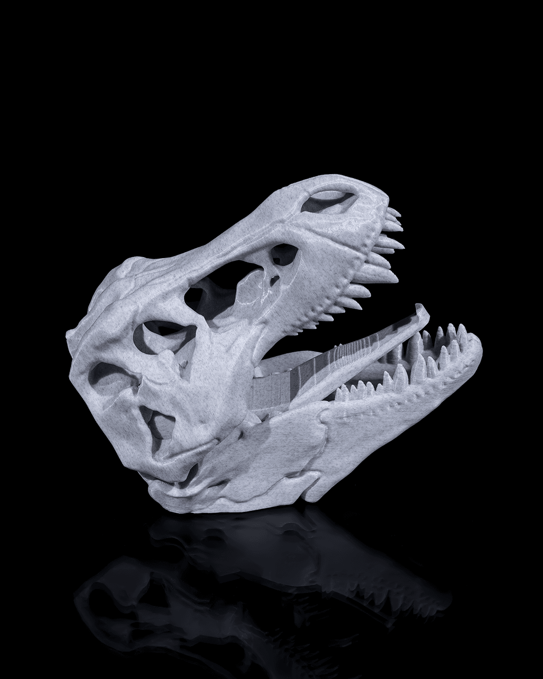 Hold my CoaT-Rex - impression filament STLFlix