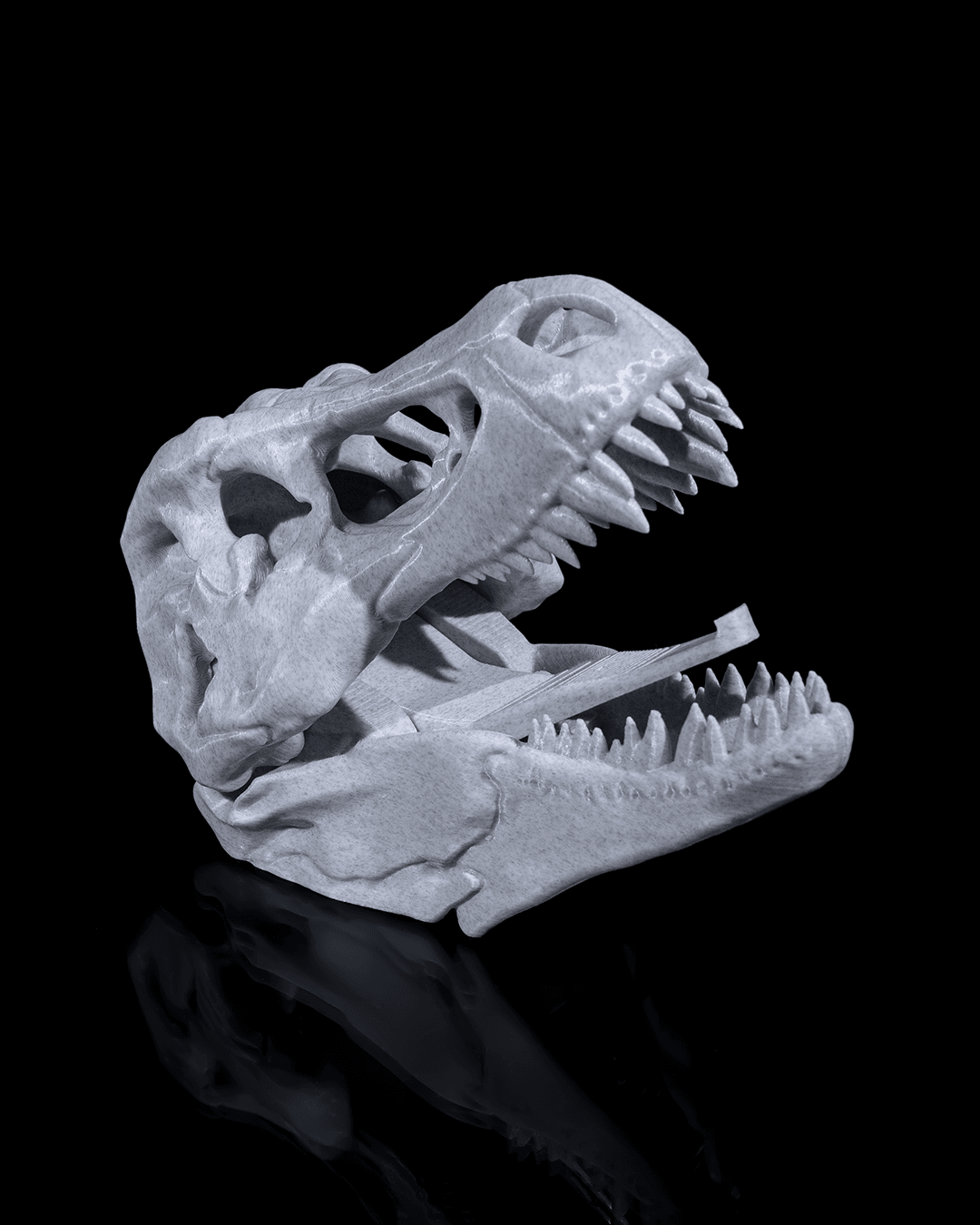 Hold my CoaT-Rex - impression filament STLFlix