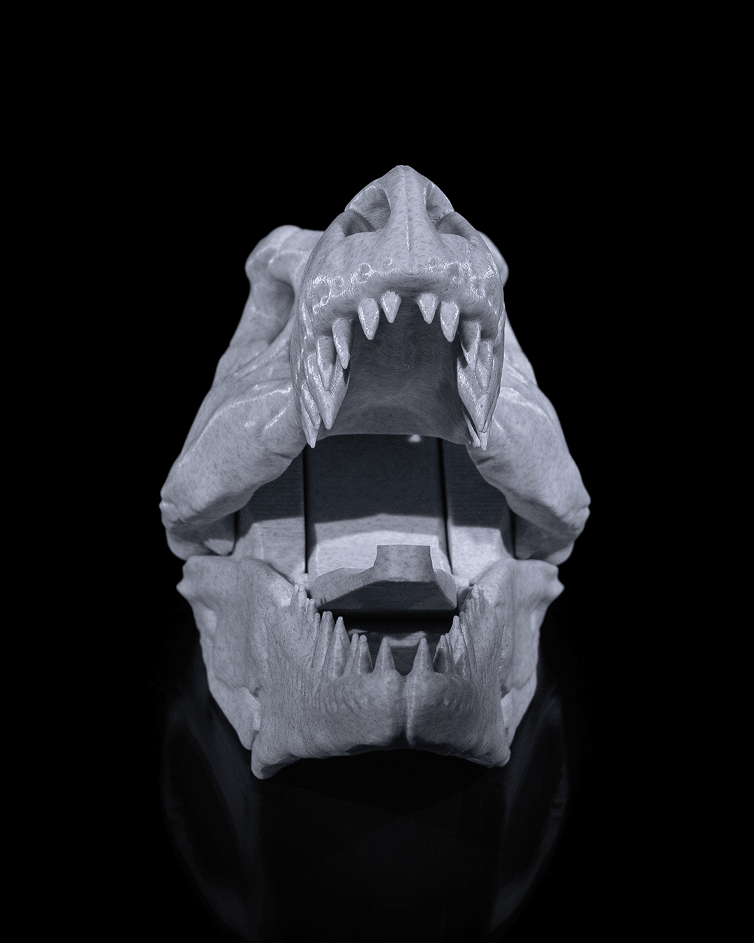 Hold my CoaT-Rex - impression filament STLFlix