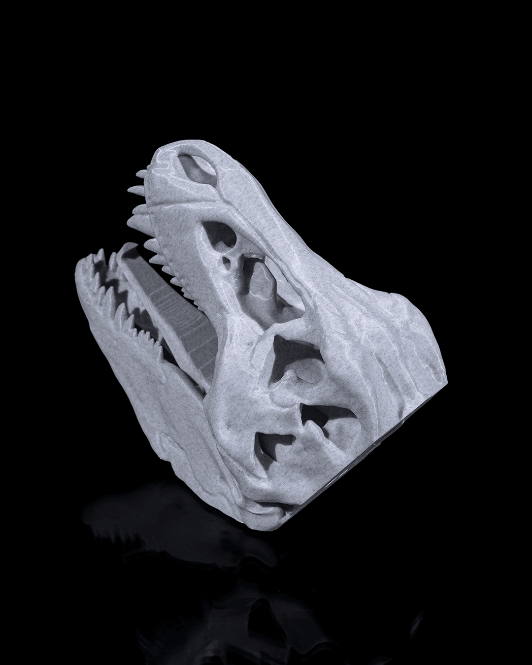 Hold my CoaT-Rex - impression filament STLFlix