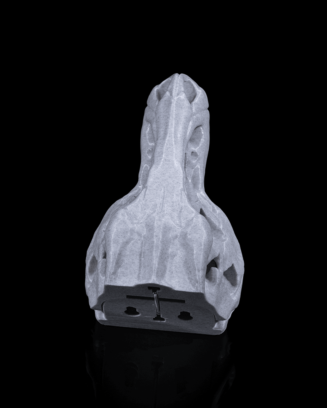 Hold my CoaT-Rex - impression filament STLFlix