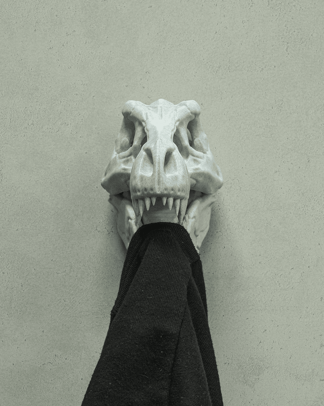 Hold my CoaT-Rex - impression filament STLFlix