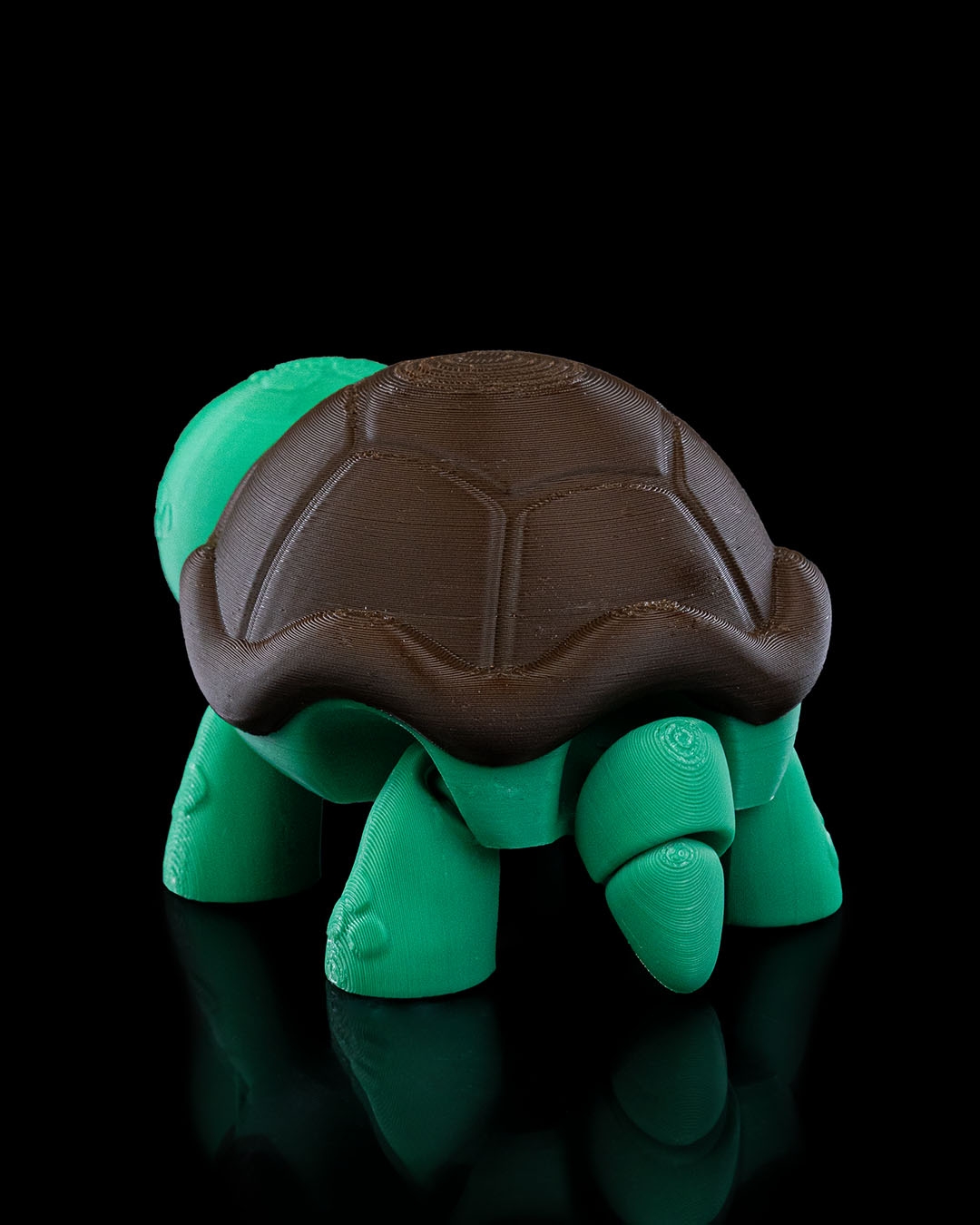 (Not) Surprised Turtle - impression filament STLFlix