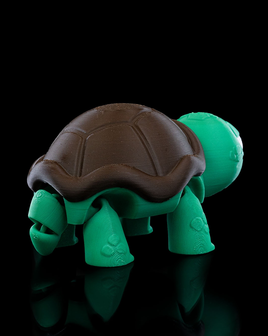 (Not) Surprised Turtle - impression filament STLFlix