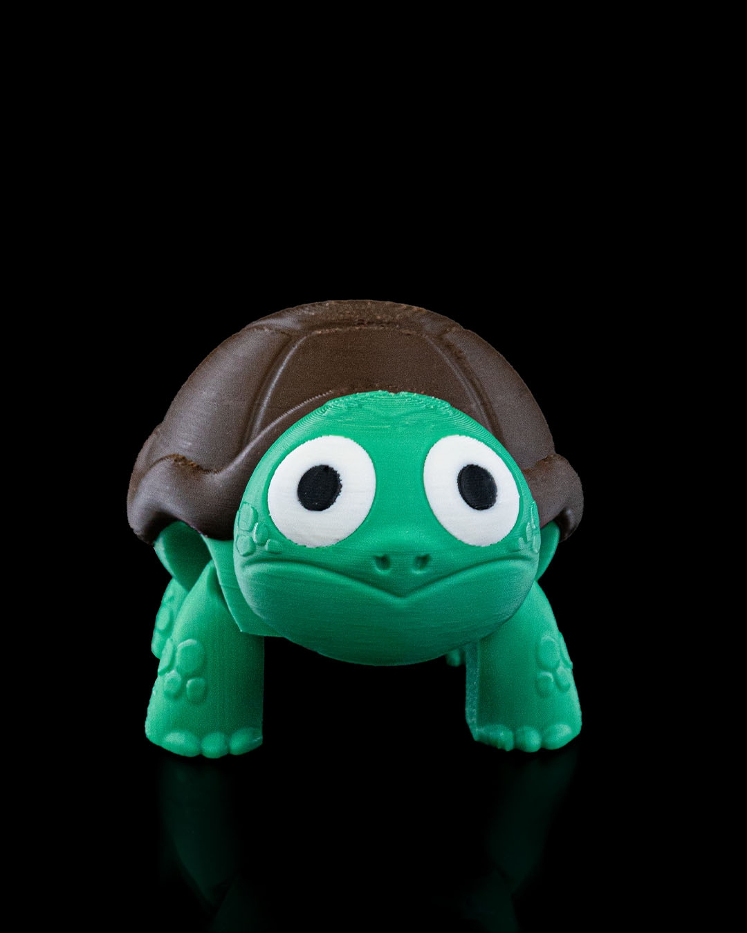 (Not) Surprised Turtle - impression filament STLFlix