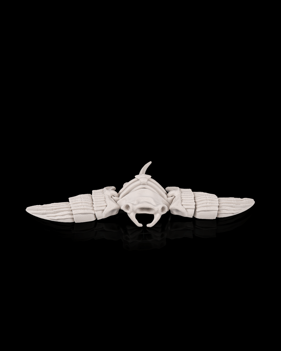 Skeleton Manta Ray