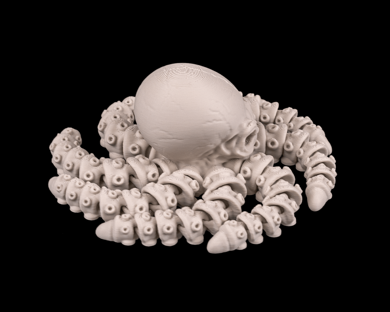 Skeleton Octopus - impression filament STLFlix