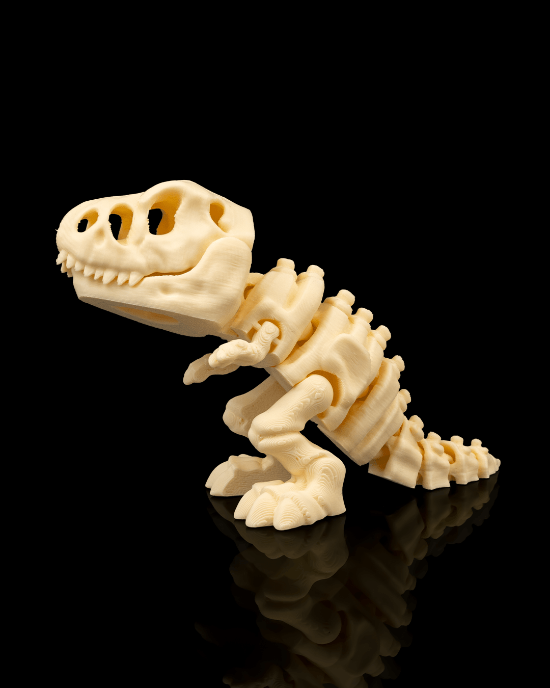 Skeleton T-Rex - impression filament STLFlix