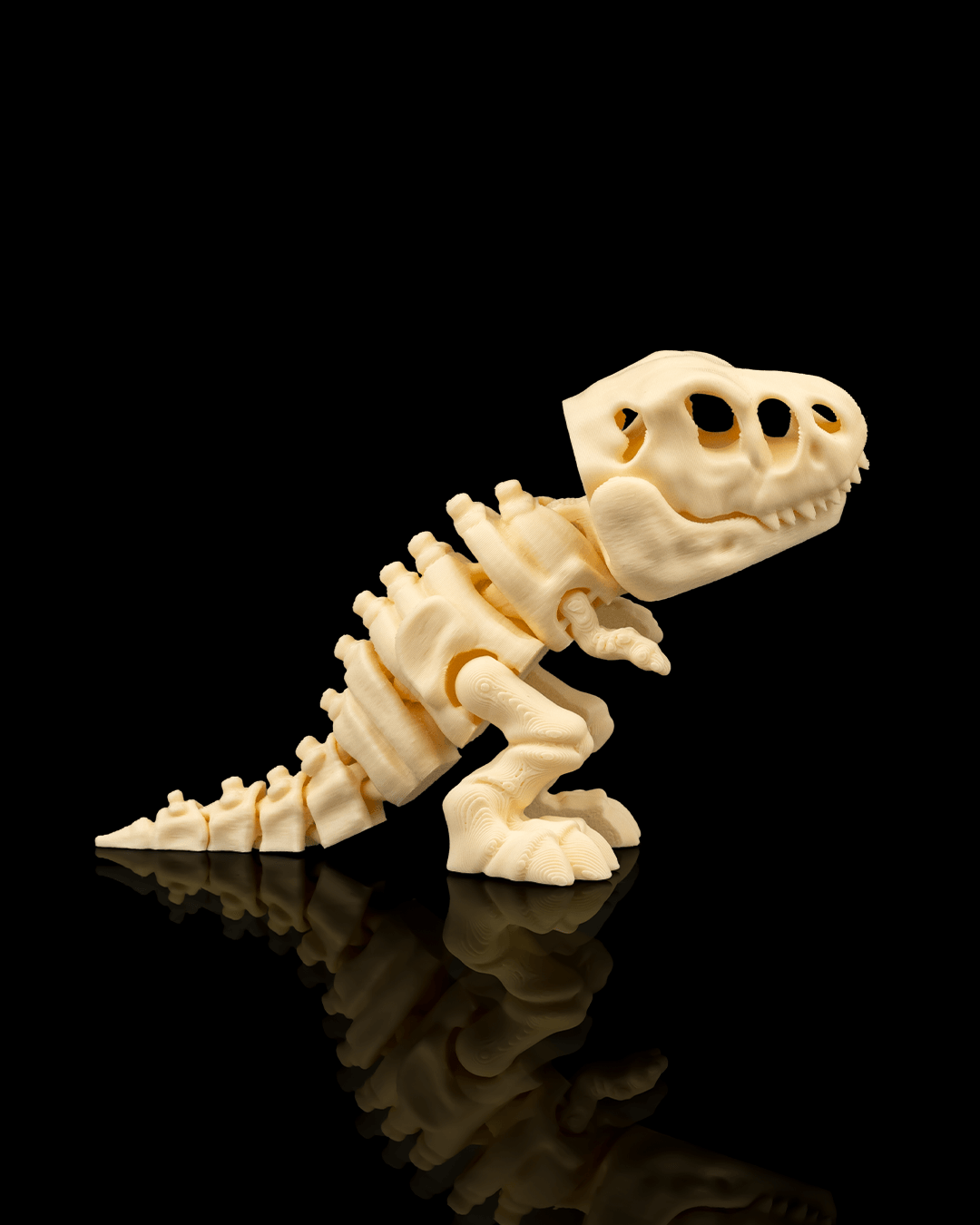 Skeleton T-Rex - impression filament STLFlix
