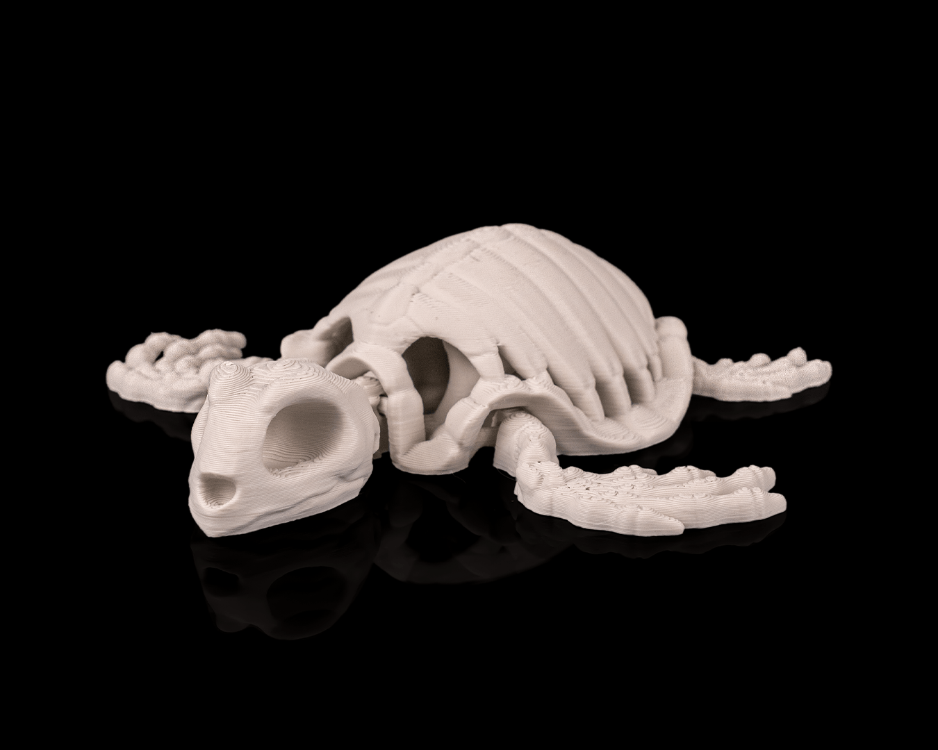 Skeleton Turtle - impression filament STLFlix