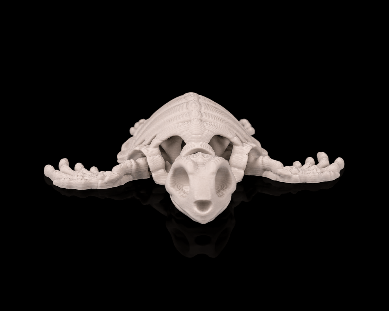 Skeleton Turtle - impression filament STLFlix