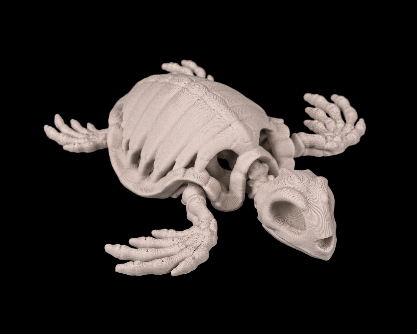 Skeleton Turtle - impression filament STLFlix