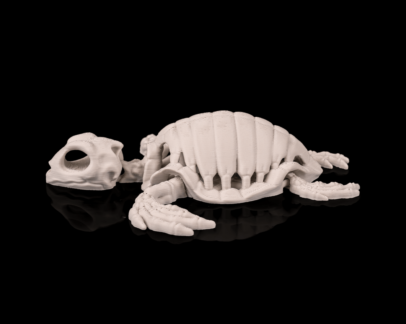 Skeleton Turtle - impression filament STLFlix
