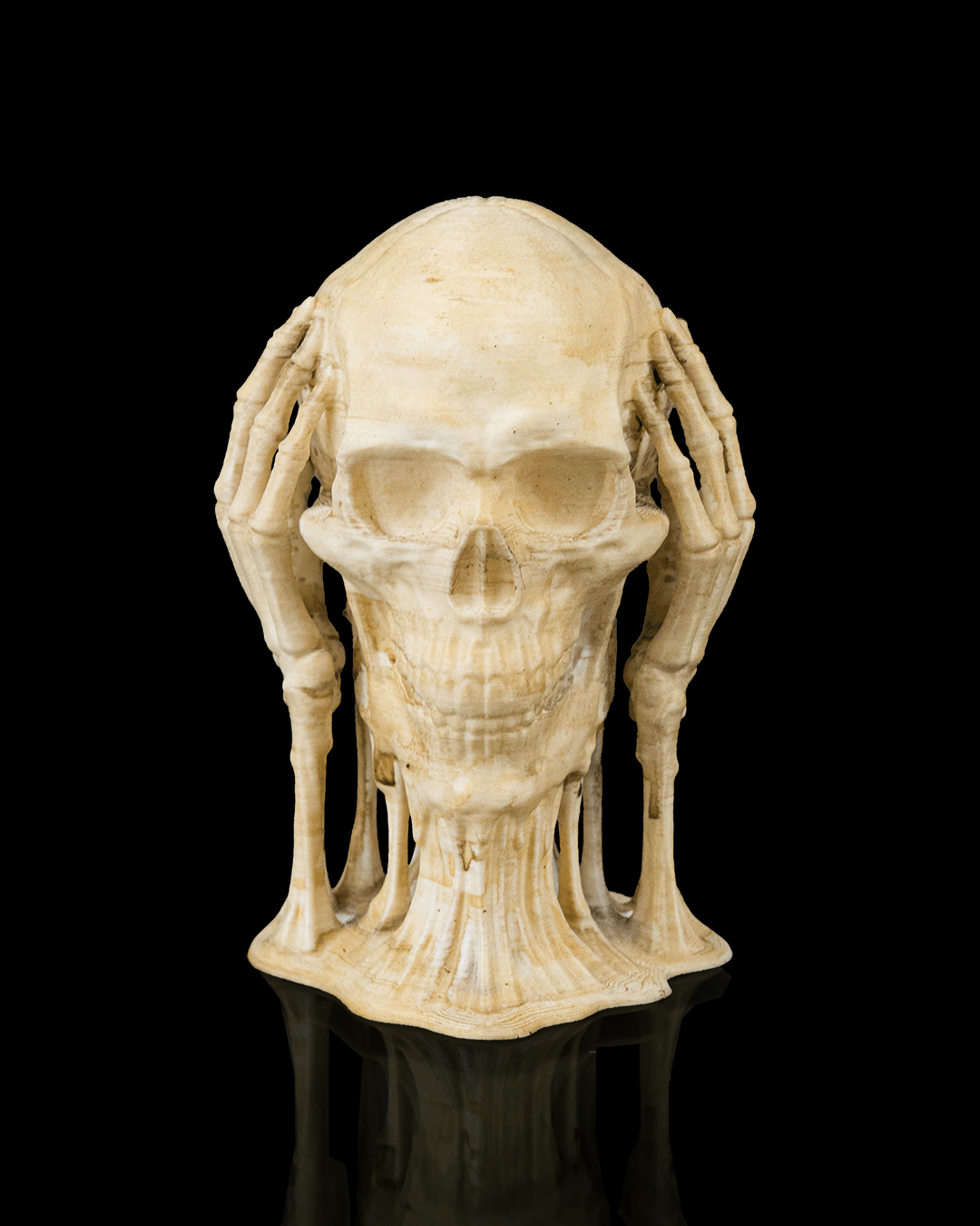 Skulls of Wisdom